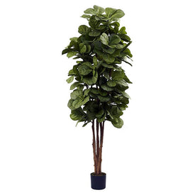 6' Fiddle Leaf Fig Tree x 6 with 270 Leaves
