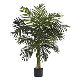 4' Golden Cane Palm Tree x 2 with 15 Leaves
