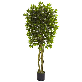 5.5' Faux Ficus Tree UV Resistant x 5 with 840 Leaves Indoor/Outdoor