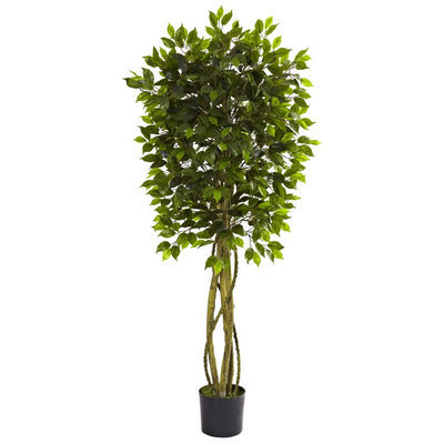 Product Image: 5380 Decor/Faux Florals/Plants & Trees