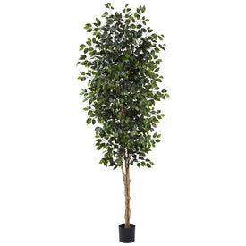 8' Ficus Tree x 3 with 1512 Leaves
