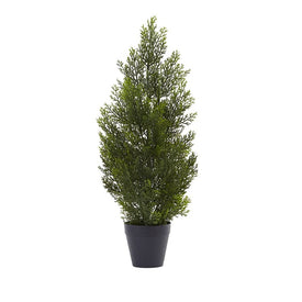 2' Indoor/Outdoor Mini Cedar Pine Tree