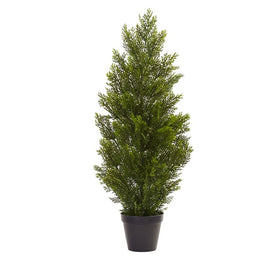 3' Indoor/Outdoor Mini Cedar Pine Tree