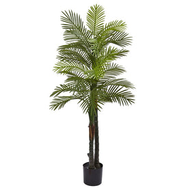 5.5' Double Robellini Palm Tree with 29 Leaves UV Resistant Indoor/Outdoor