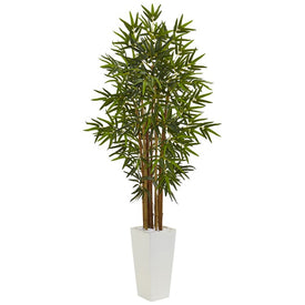5' Bamboo Tree in White Tower Planter