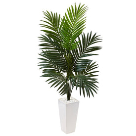 4.5' Kentia Palm Tree in White Tower Planter