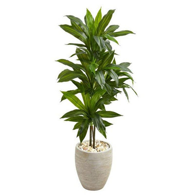 Product Image: 6456 Decor/Faux Florals/Plants & Trees