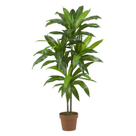 4' Dracaena Real Touch