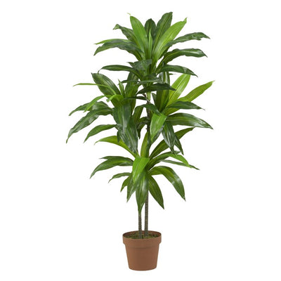 Product Image: 6585 Decor/Faux Florals/Plants & Trees