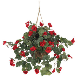 Begonia Hanging Basket - Red