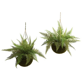 Indoor/Outdoor Leather Fern with Hanging Baskets Set of 2