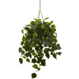 Indoor/Outdoor UV-Resistant Philodendron Hanging Basket