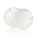 1041718468 Dining & Entertaining/Dinnerware/Dinner Plates