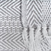 CAMZ38154 Decor/Decorative Accents/Throws