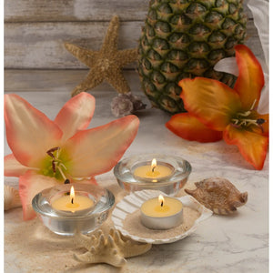 Z02077 Decor/Candles & Diffusers/Candles