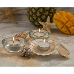 Z02080 Decor/Candles & Diffusers/Candles