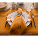 CAMZ37568 Dining & Entertaining/Table Linens/Napkins & Napkin Rings