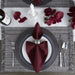CAMZ72918 Dining & Entertaining/Table Linens/Napkins & Napkin Rings