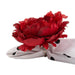 Z02316 Dining & Entertaining/Table Linens/Napkins & Napkin Rings