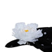 Z02318 Dining & Entertaining/Table Linens/Napkins & Napkin Rings