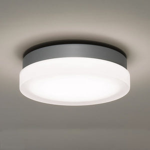 FM-2109-35-TT Lighting/Outdoor Lighting/Outdoor Flush & Semi-Flush Lights