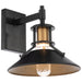 WS-W43011-BK/AB Lighting/Outdoor Lighting/Outdoor Wall Lights