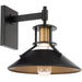 WS-W43015-BK/AB Lighting/Outdoor Lighting/Outdoor Wall Lights