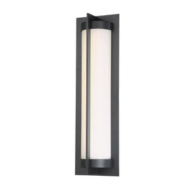 Oberon Single-Light 20" LED Indoor/Outdoor Wall Light 3000K