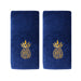 T4265900830203 Bathroom/Bathroom Linens & Rugs/Hand Towels