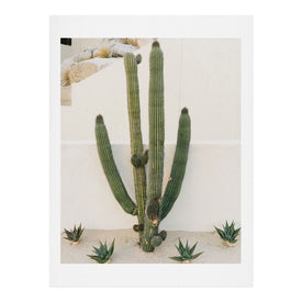 Bethany Young Photography Cabo Cactus X Art Print