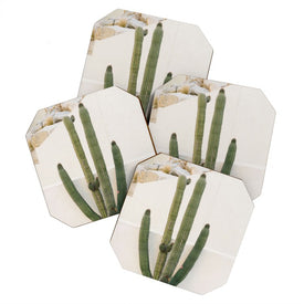 Bethany Young Photography Cabo Cactus X Coasters Set of 4