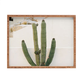 Bethany Young Photography Cabo Cactus X Rectangular Tray