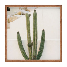 Bethany Young Photography Cabo Cactus X Square Tray