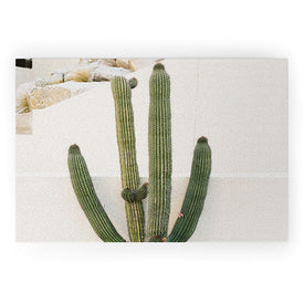 Bethany Young Photography Cabo Cactus X Welcome Mat
