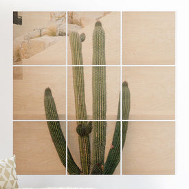 Bethany Young Photography Cabo Cactus X Wood Wall Mural