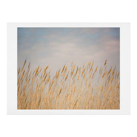 Ann Hudec Nantucket Gold Art Print