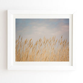 Ann Hudec Nantucket Gold White Framed Wall Art