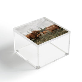 Chelsea Victoria Highland Cows In The Meadow Acrylic Box