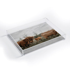 Chelsea Victoria Highland Cows In The Meadow Acrylic Tray