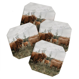 Chelsea Victoria Highland Cows In The Meadow Coasters Set of 4