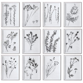 Botanicals Framed Prints by Grace Feyock Set of 12