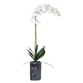 Eponine Faux White Orchid