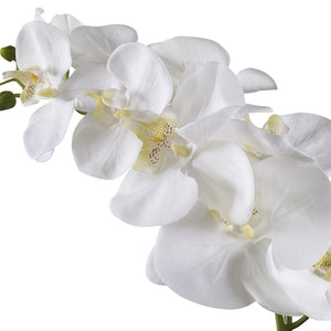 60178 Decor/Faux Florals/Floral Arrangements