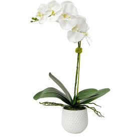 Cami White Orchid Faux Floral Arrangement