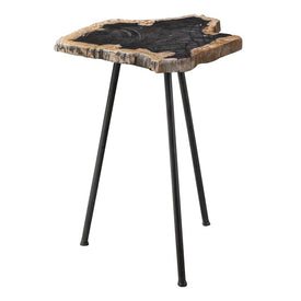 Mircea Petrified Wood Accent Table by Matthew Williams