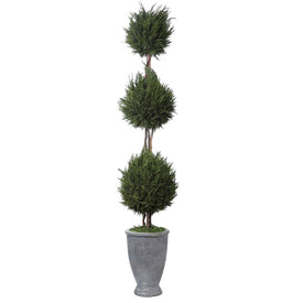 Faux Cypress Triple Topiary by Constance Lael-Linyard