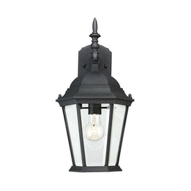 Exterior Collections Single-Light Outdoor Wall Mount Lantern