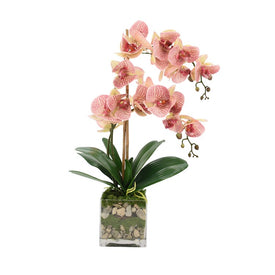 24" Artificial Pink Orchids and Bamboo in Clear Glass Pot