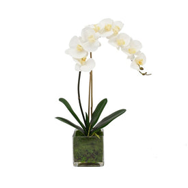 25" Artificial White Orchids and Bamboo in Glass Vase