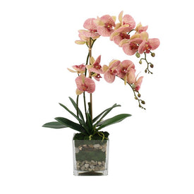 26" Artificial Pink Orchids and Bamboo in Glass Vase